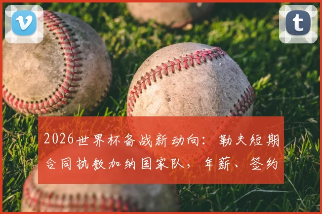 2026世界杯备战新动向：勒夫短期合同执教加纳国家队，年薪、签约年限及带队前景全解析