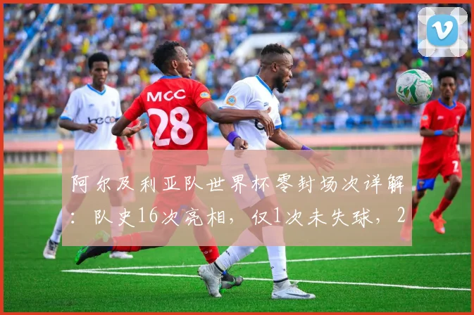 阿尔及利亚队世界杯零封场次详解：队史16次亮相，仅1次未失球，2026能否改写防守纪录？