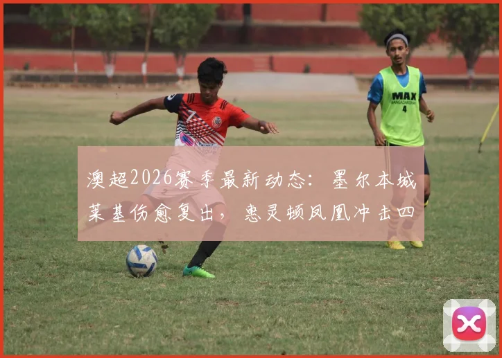 澳超2026赛季最新动态:墨尔本城莱基伤愈复出,惠灵顿凤凰冲击四连胜战术解析